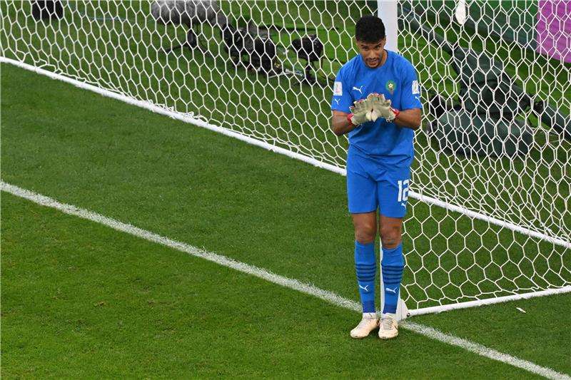 منير المحمدي