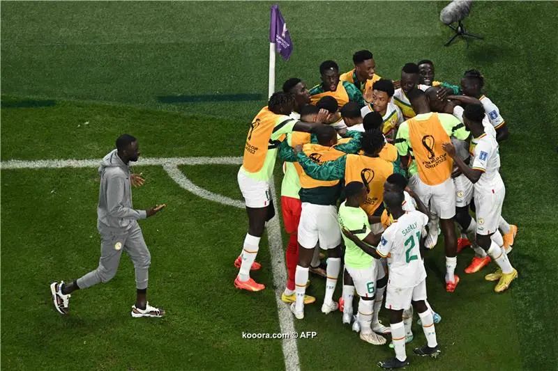 ?i=afp%2f20221129%2f20221129-afp_32w64zd_afp