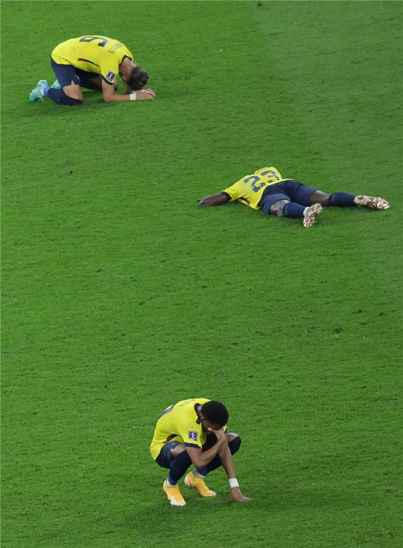 حسرة لاعبي الإكوادور