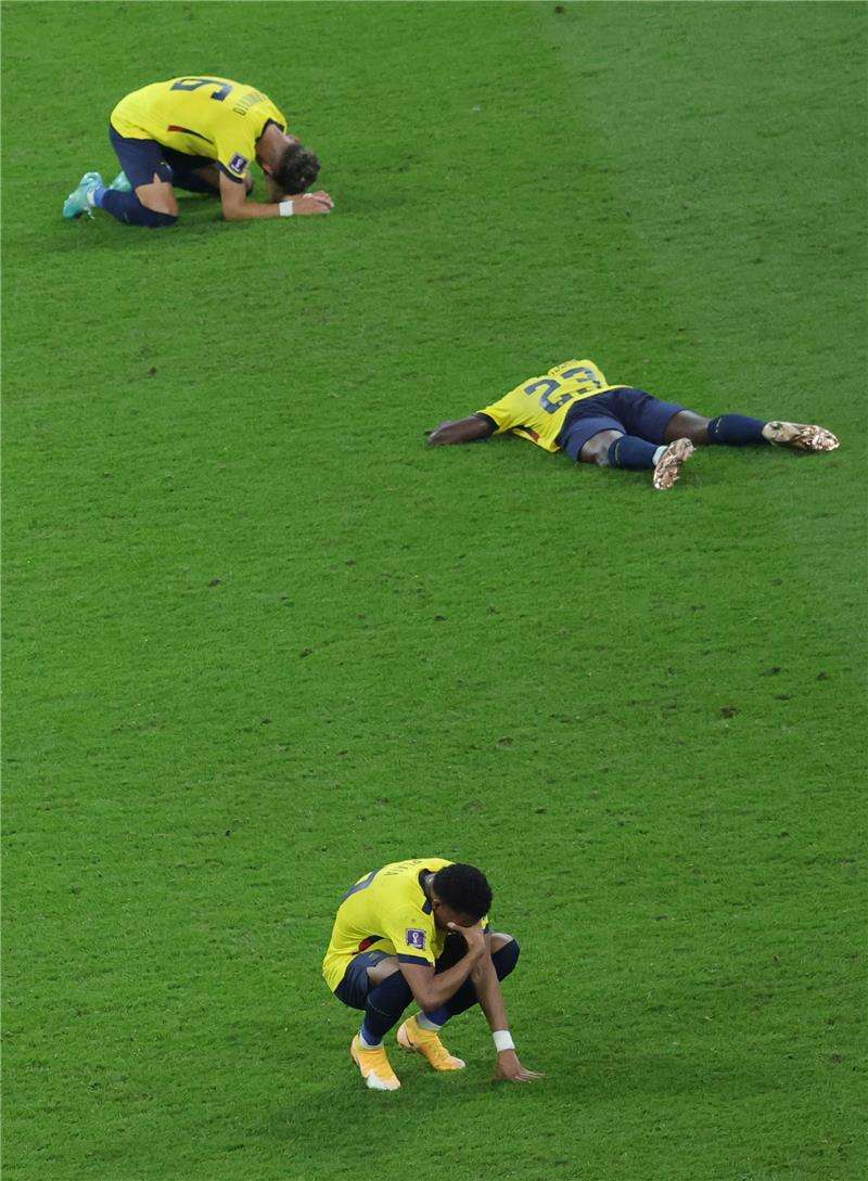 حسرة لاعبي الإكوادور