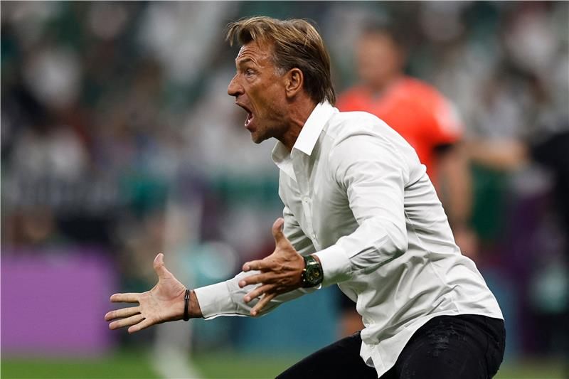 هيرفي رينارد