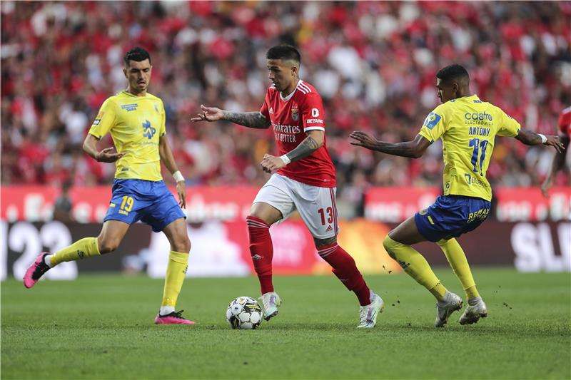 إنزو فرنانديز