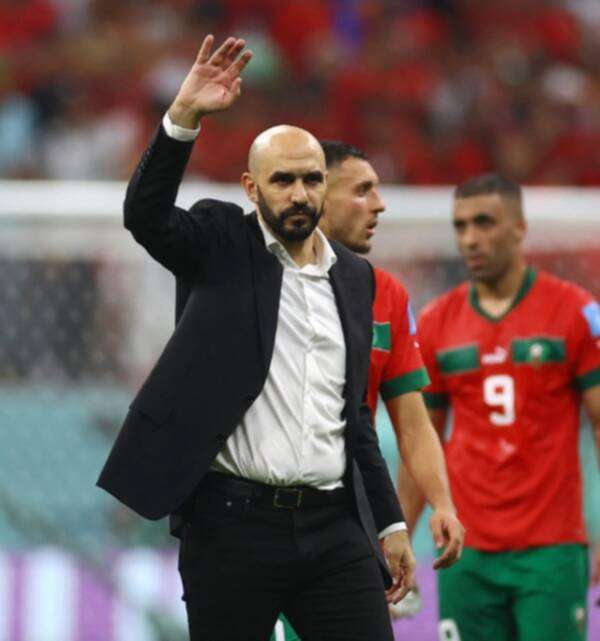 وليد الركراكي