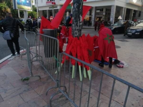 استعدادات الجماهير لاستقبال الأسود