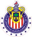 chivas_de_guadalajara