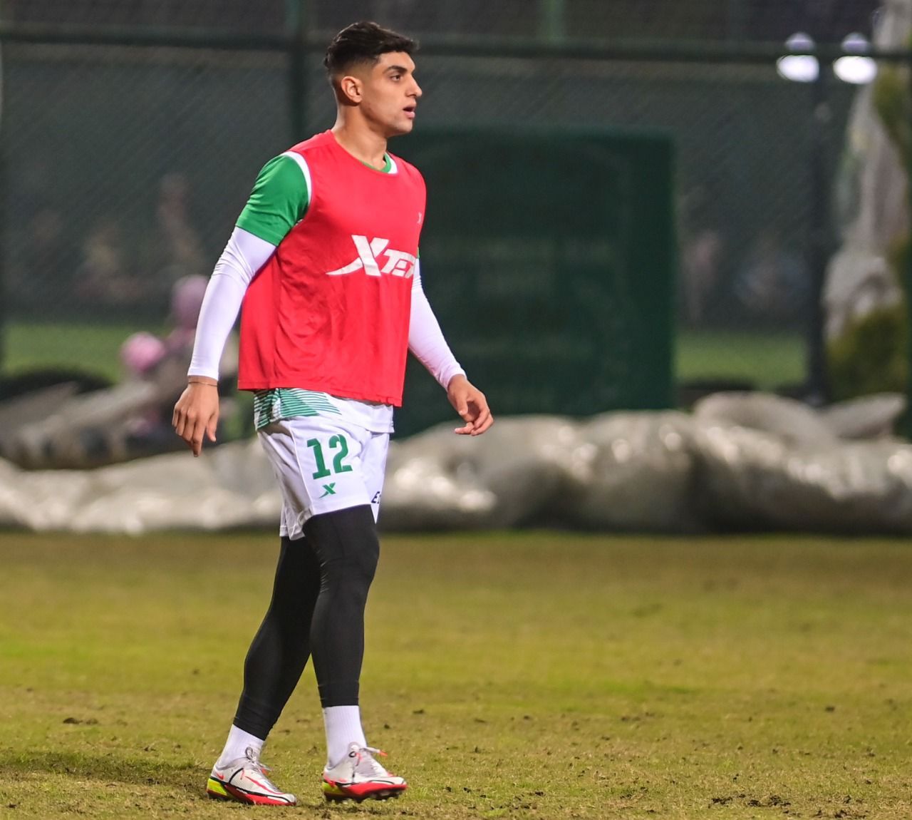 محمود شبانة