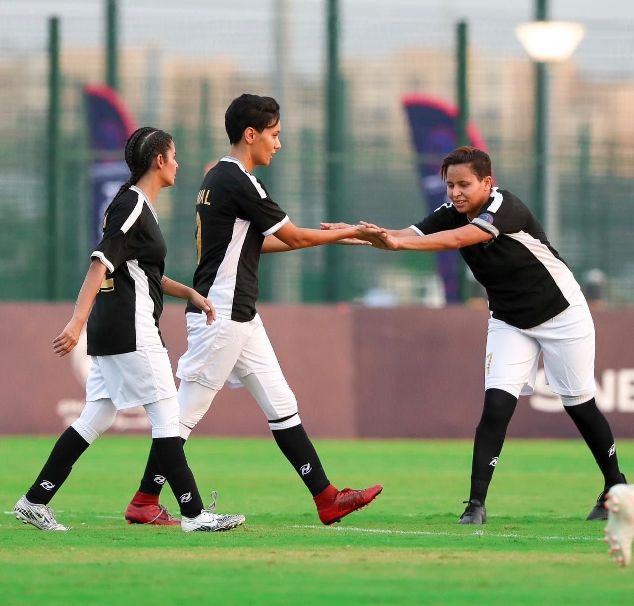 فريق الليث الأبيض