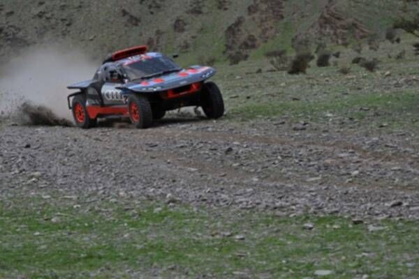 ناصر العطية