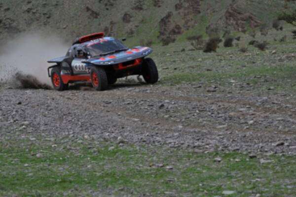 ناصر العطية