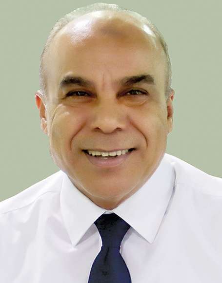 محمود الربيعي