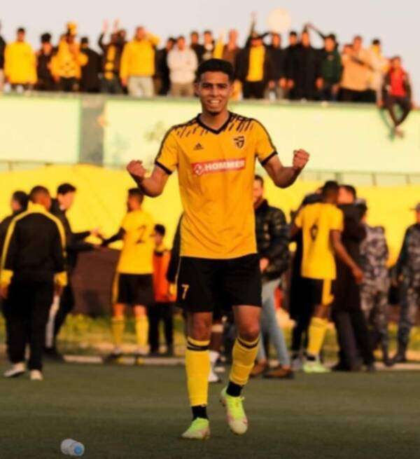 شاهين الجميل