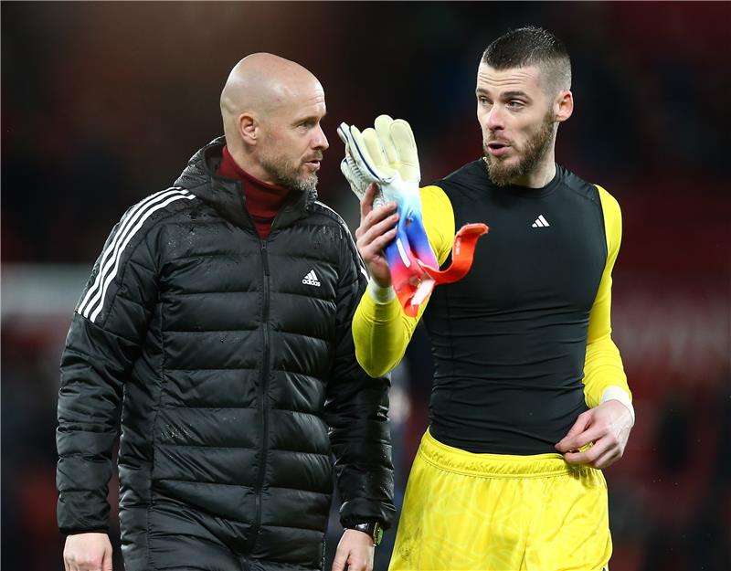 تين هاج ودي خيا