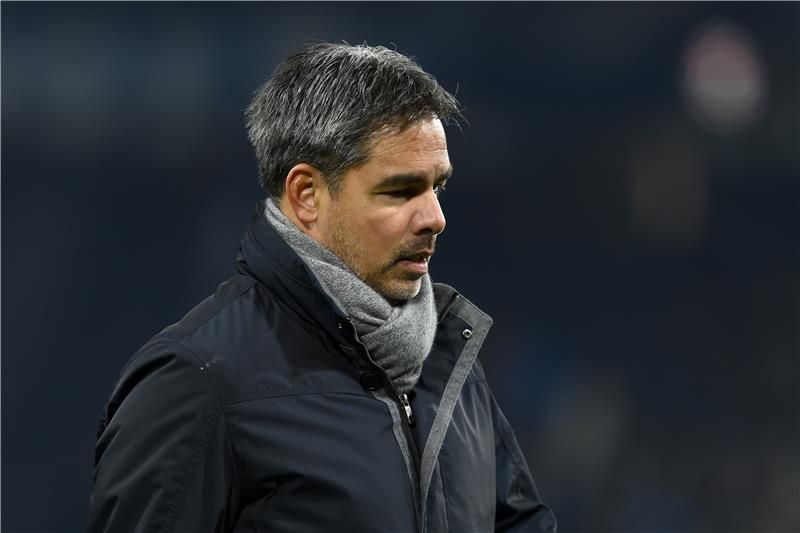 ديفيد فاجنر