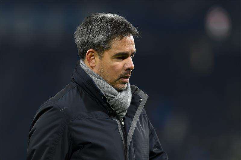 ديفيد فاجنر