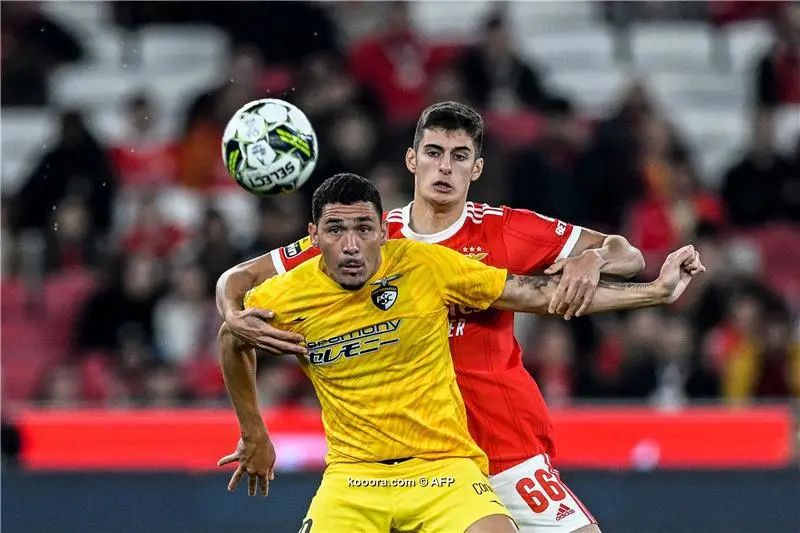 ?i=afp%2f20230106%2f20230106-afp_336m364_afp