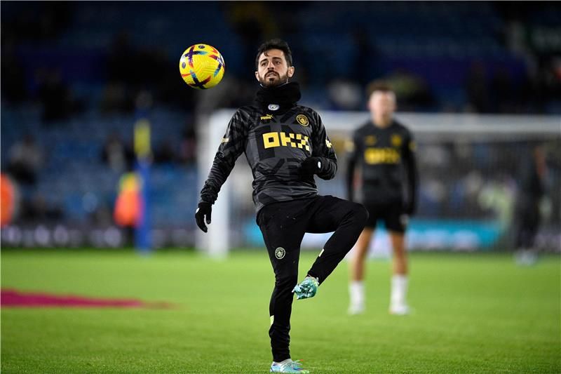 برناردو سيلفا