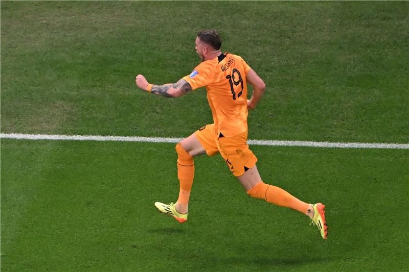 فاوت فيجهورست