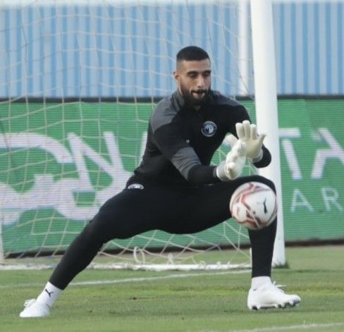 أحمد الشناوي