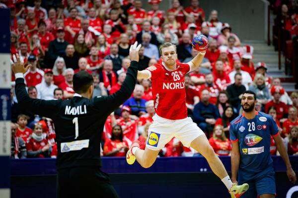 من لقاء تونس والدنمارك