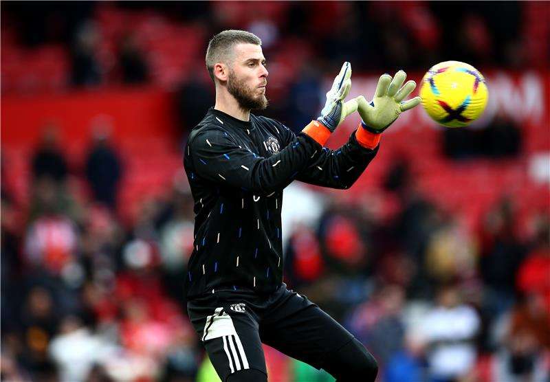 دافيد دي خيا