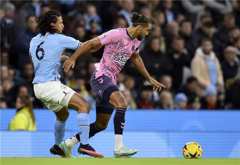 دومينيك كالفرت لوين