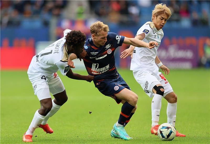 نيكولاس كوزا