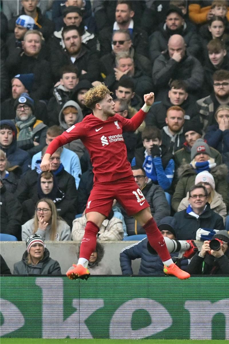 هارفي إيليوت