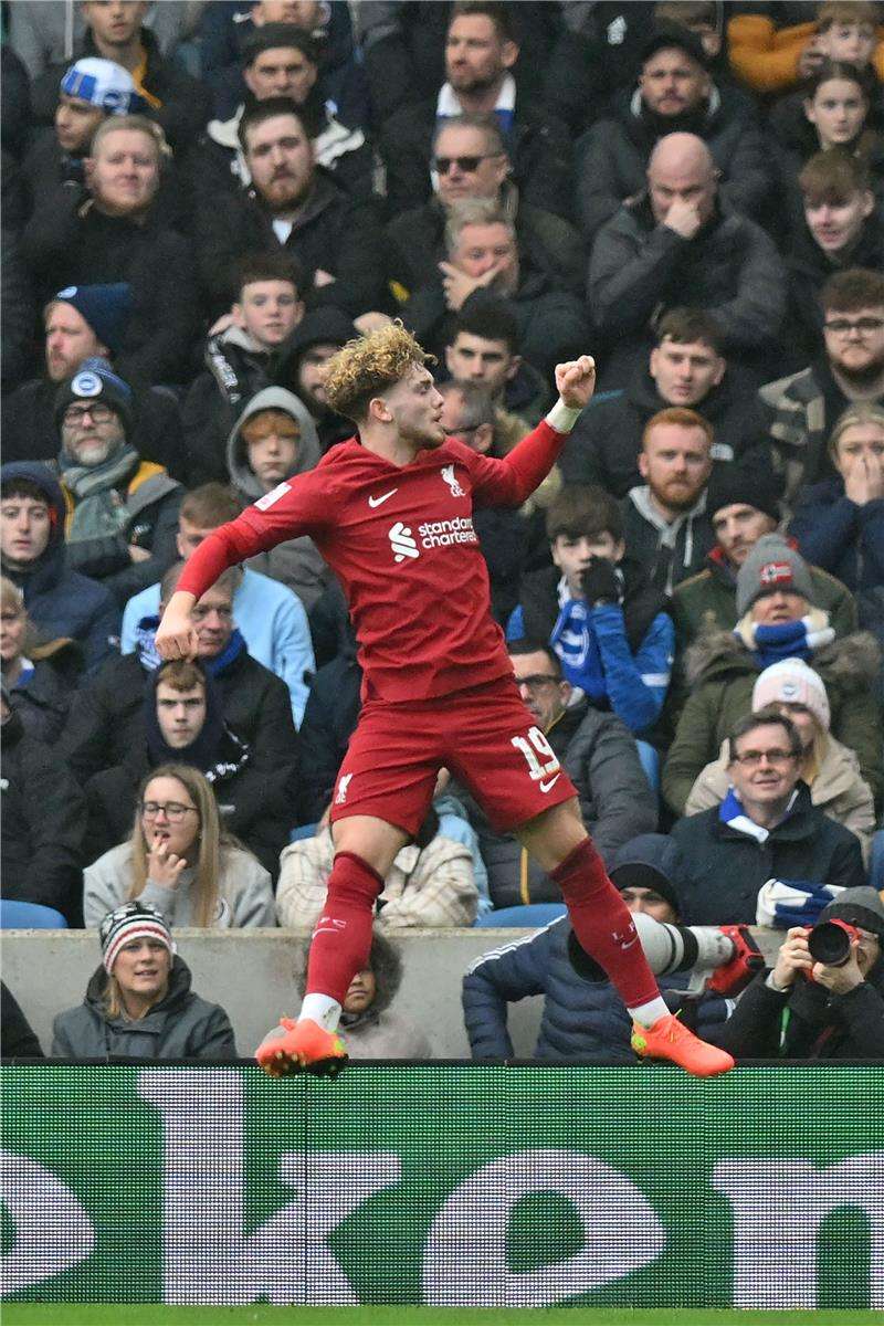 هارفي إيليوت