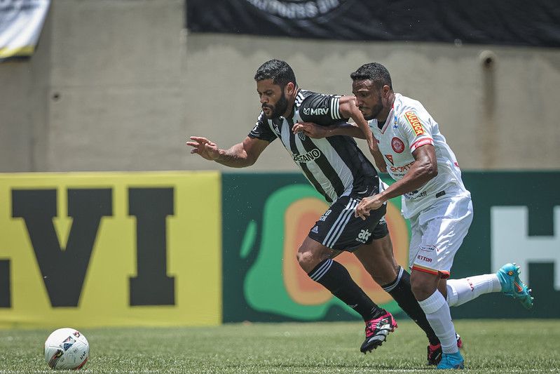 52656979650_1cc05b92c8_c