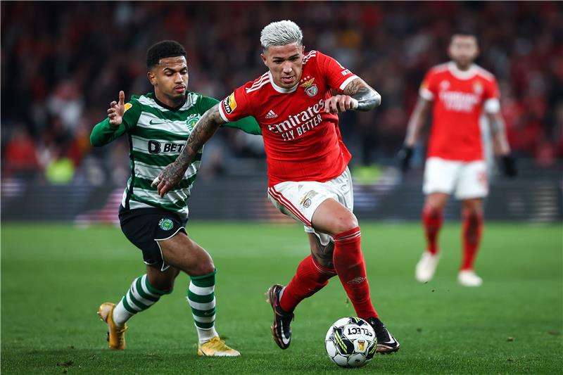 إنزو فيرنانديز