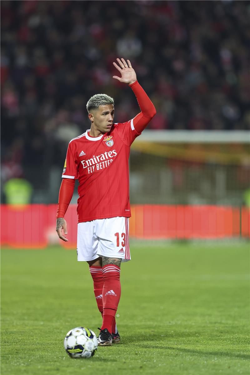 إنزو فيرنانديز