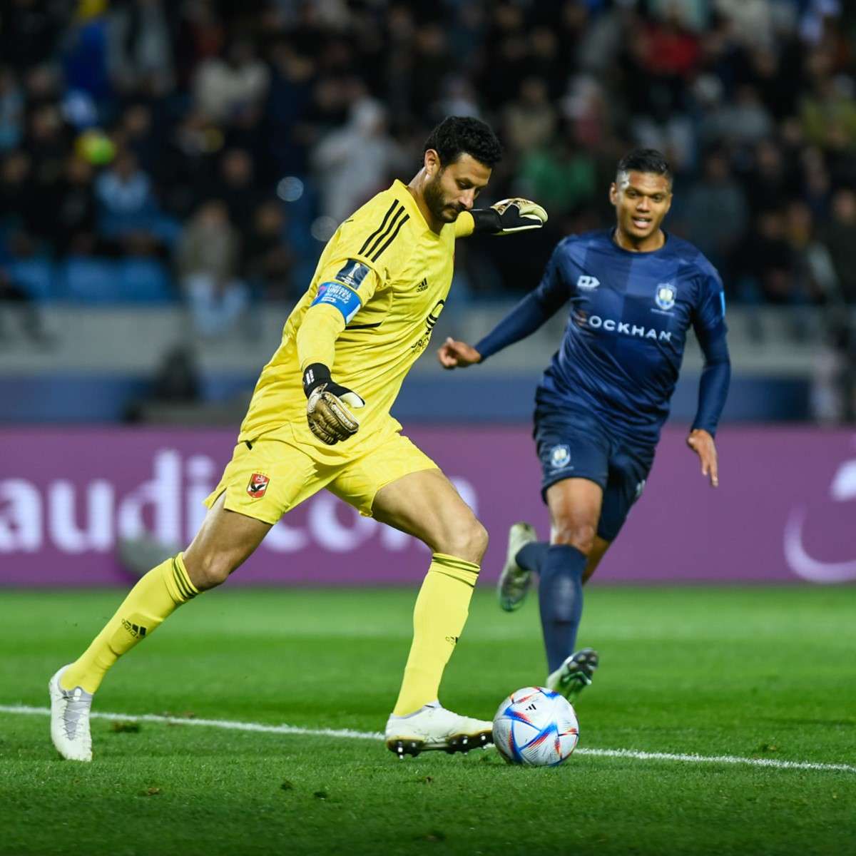 محمد الشناوي