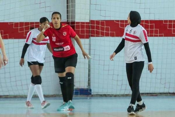 نصرة عيد عبد الملك