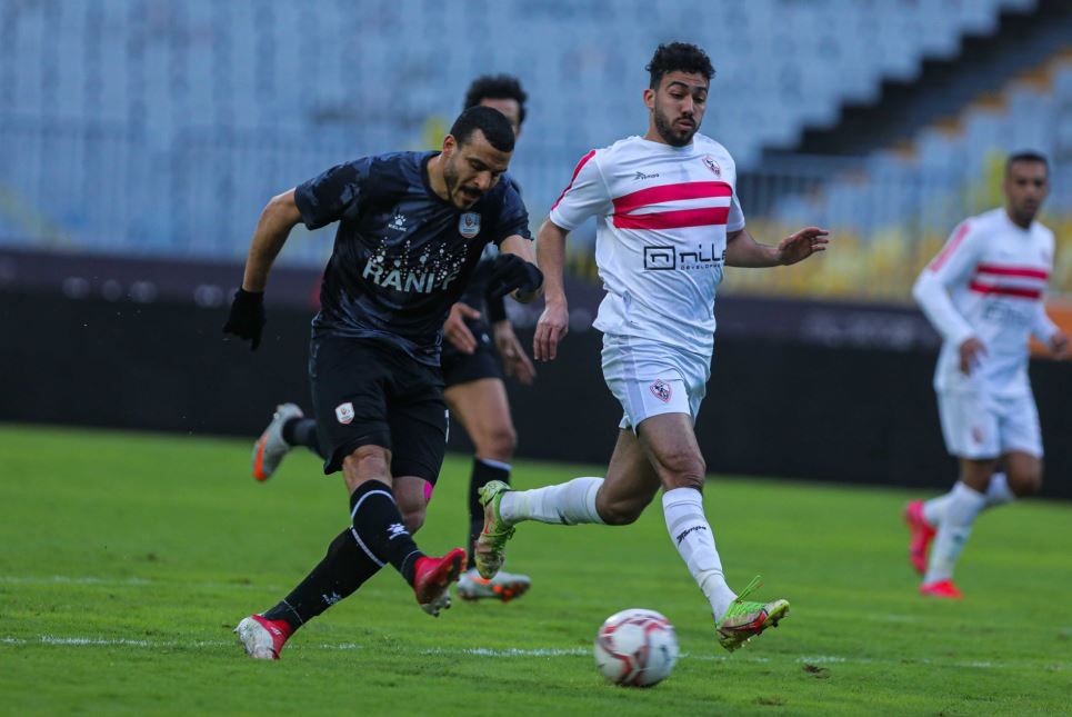شكري نجيب