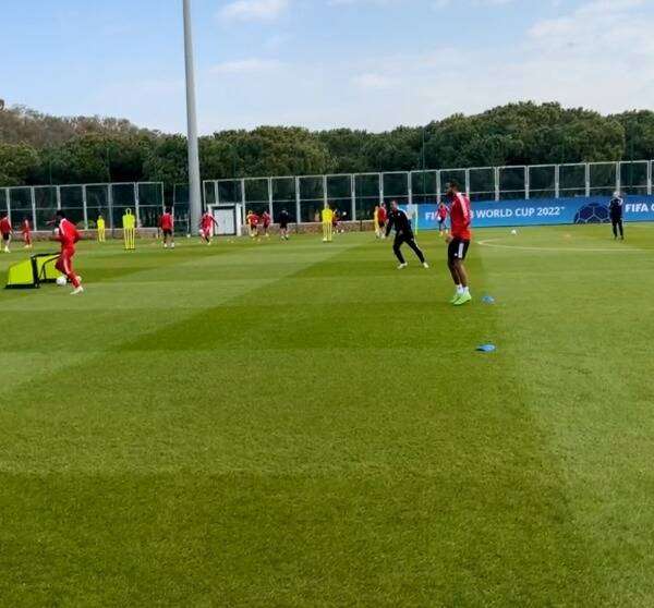 من مران الأهلي