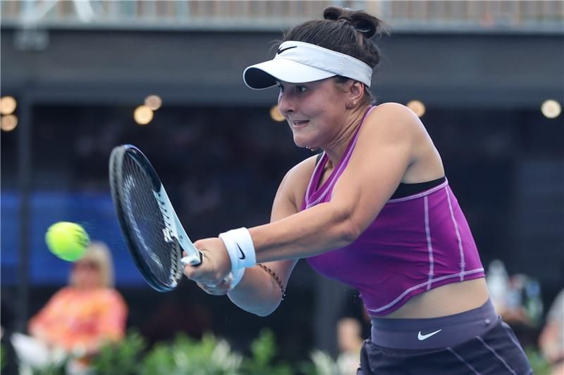 بيانكا أندريسكو