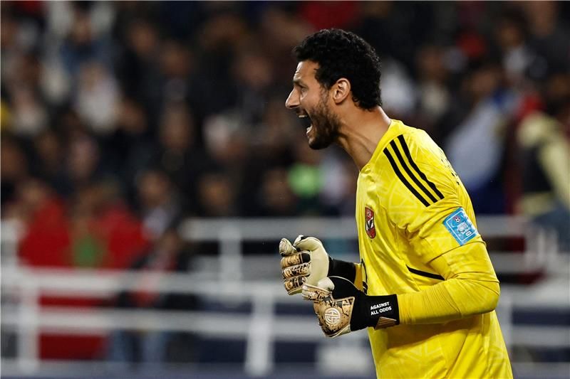 محمد الشناوي