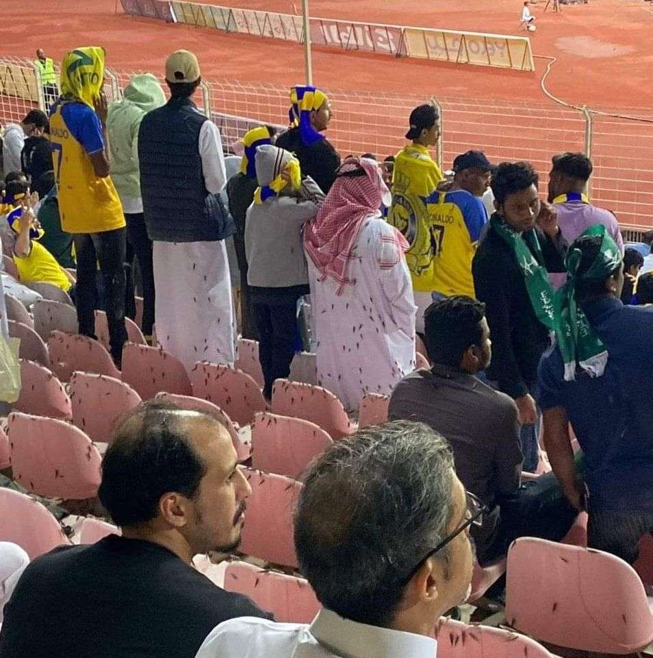 هجوم الجراد