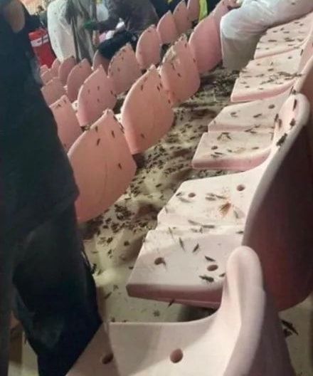 330042966_1569271180242071_9005865070958031209_n