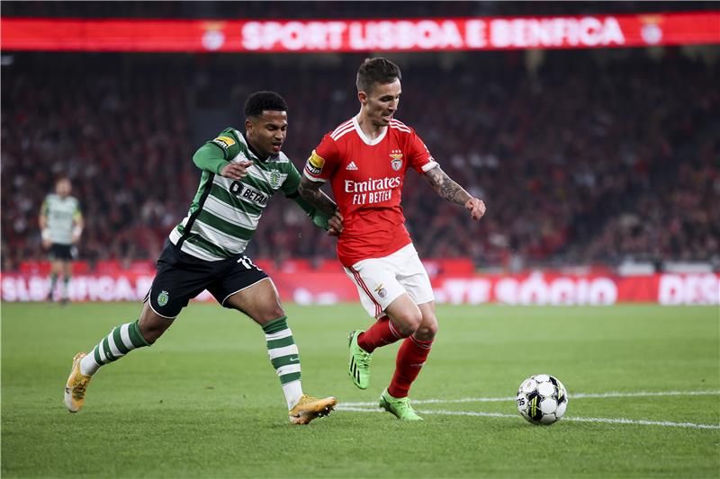 أليكس جريمالدو