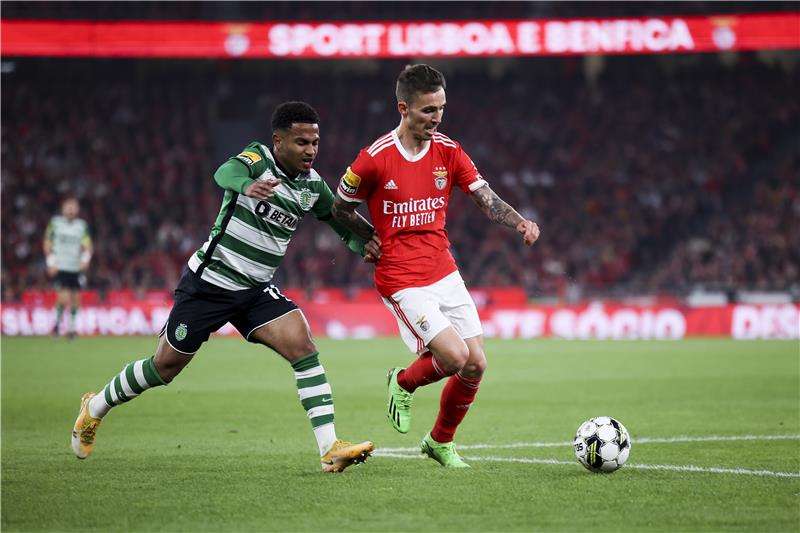 أليكس جريمالدو