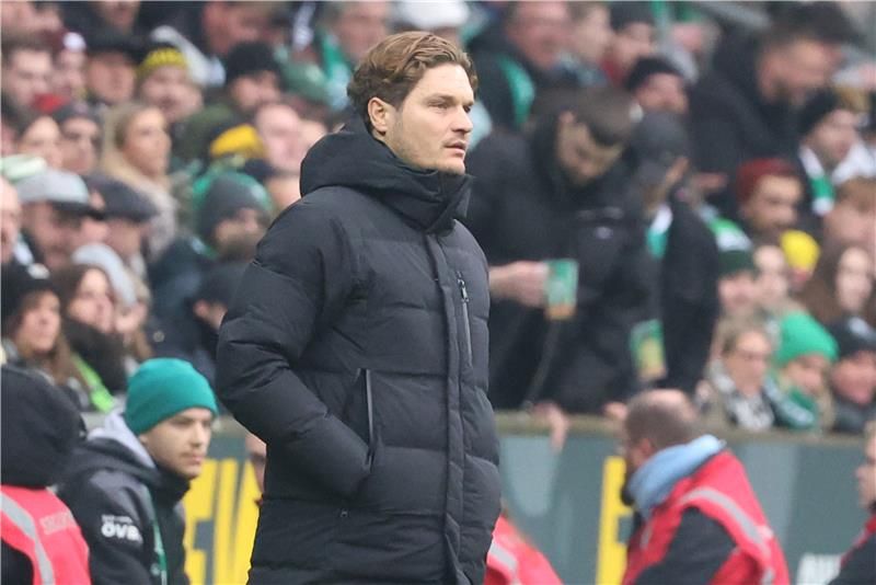 إيدين تيرزيتش