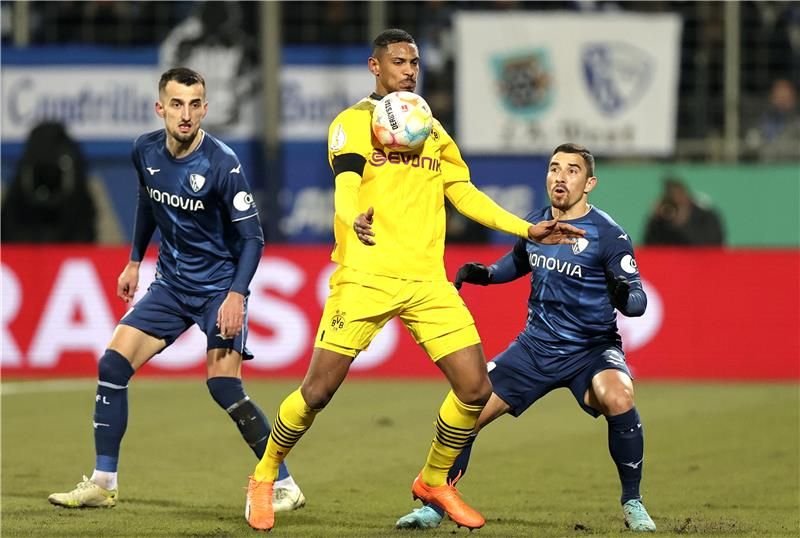 سيباستيان هالر