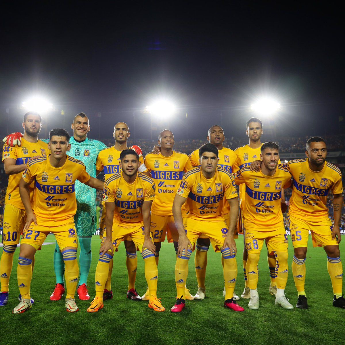 تيجريس أونال