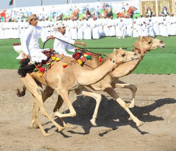 من منافسات البطولة