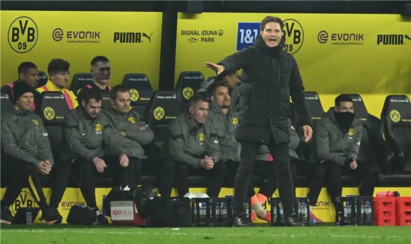 إيدين تيرزيتش