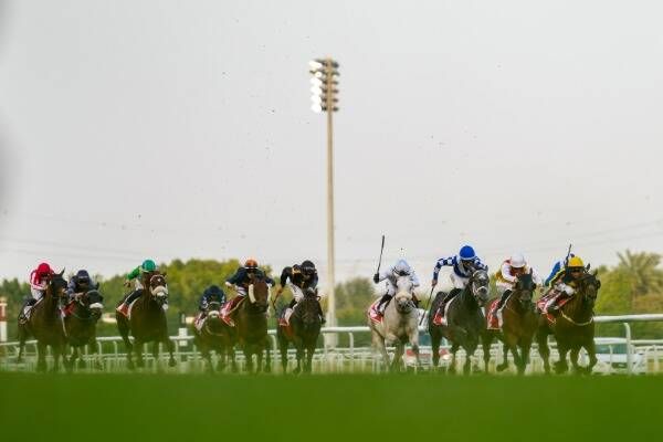 من كرنفال كأس دبي العالمية