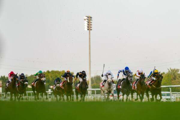 من كرنفال كأس دبي العالمية