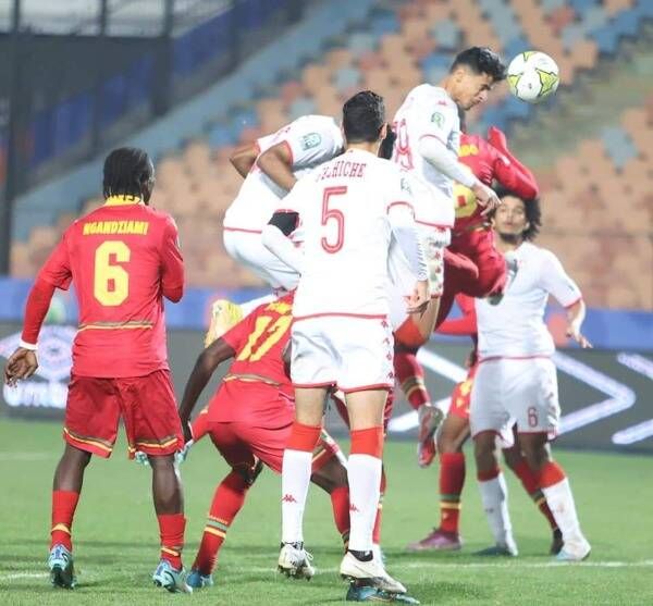 فرحة لاعبي تونس