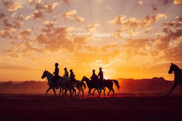 جانب من المنافسات